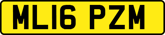 ML16PZM