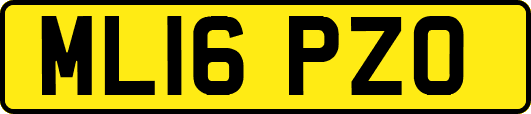 ML16PZO