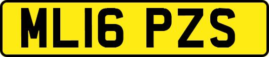ML16PZS