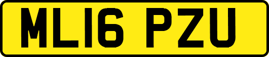 ML16PZU