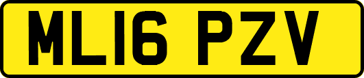 ML16PZV