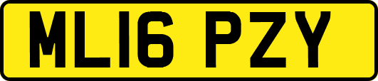 ML16PZY