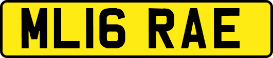 ML16RAE