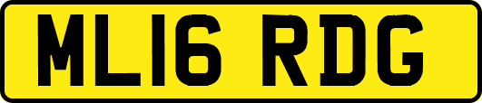ML16RDG