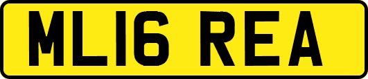 ML16REA