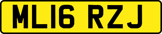 ML16RZJ