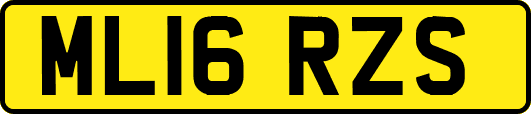 ML16RZS