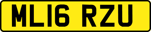 ML16RZU