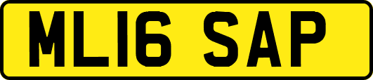 ML16SAP