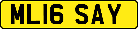 ML16SAY