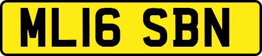 ML16SBN