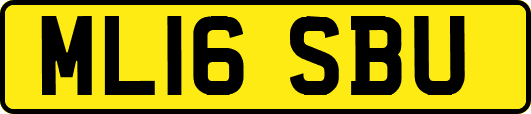 ML16SBU