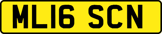 ML16SCN
