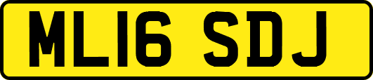 ML16SDJ