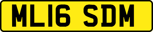 ML16SDM