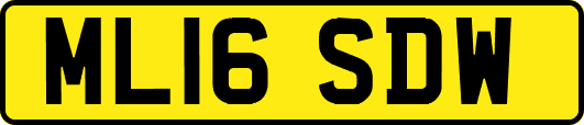 ML16SDW