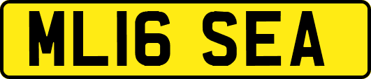 ML16SEA