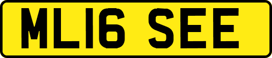 ML16SEE