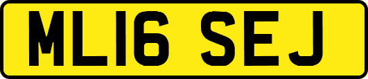 ML16SEJ