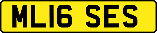ML16SES
