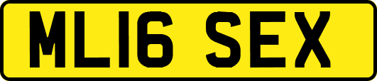 ML16SEX
