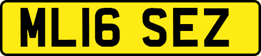 ML16SEZ