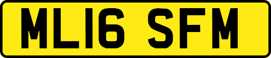 ML16SFM