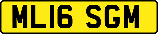 ML16SGM