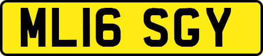 ML16SGY