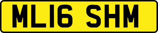 ML16SHM