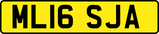 ML16SJA