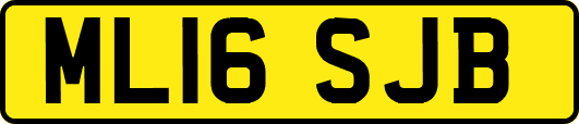 ML16SJB