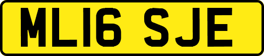 ML16SJE