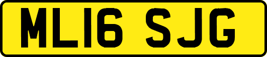 ML16SJG