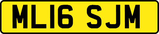 ML16SJM
