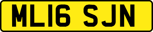 ML16SJN