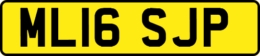 ML16SJP