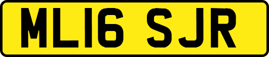 ML16SJR
