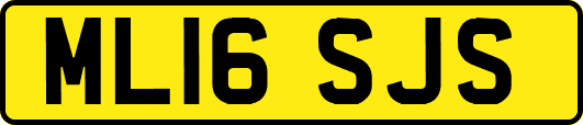 ML16SJS