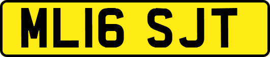 ML16SJT
