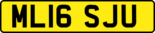 ML16SJU