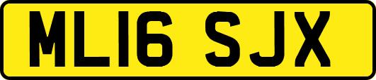 ML16SJX