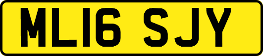 ML16SJY