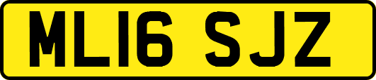 ML16SJZ