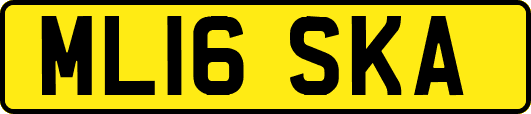ML16SKA