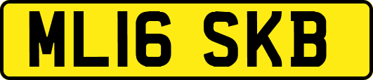 ML16SKB