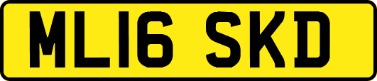 ML16SKD
