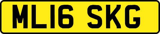 ML16SKG