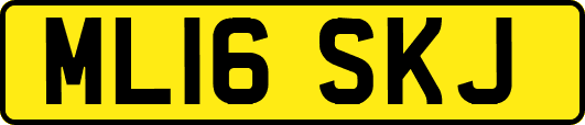 ML16SKJ