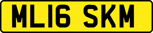 ML16SKM
